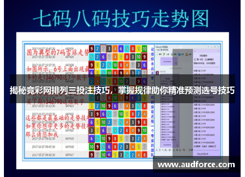 揭秘竞彩网排列三投注技巧，掌握规律助你精准预测选号技巧