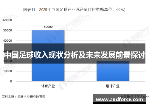 中国足球收入现状分析及未来发展前景探讨